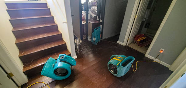 Best Ceiling water damage repair  in Lake Norman Of Catawba, NC