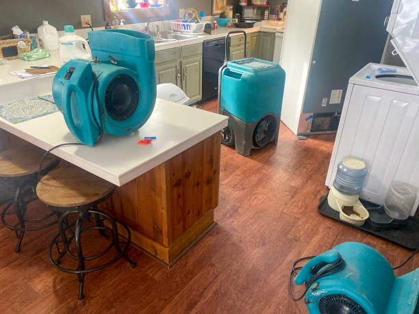 Best Carpet water damage restoration  in Lake Norman Of Catawba, NC