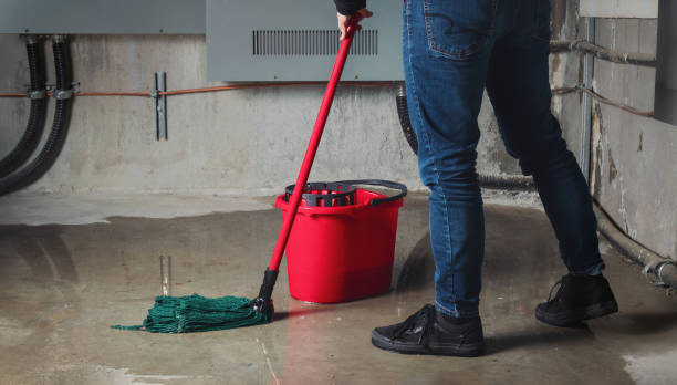 Best Professional water damage repair  in Lake Norman Of Catawba, NC