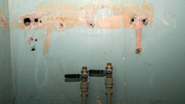 Best Carpet water damage restoration  in Lake Norman Of Catawba, NC