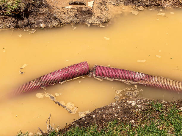 Best Sewage cleanup and water damage restoration  in Lake Norman Of Catawba, NC